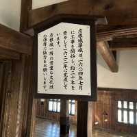 在古堡上鳥瞰古鎮