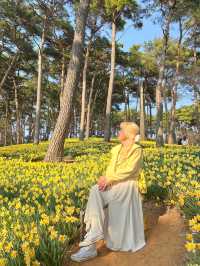 수선화 가득한 서산 유기방가옥💛