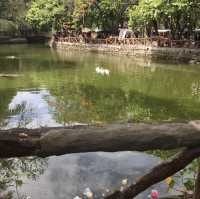 Rediscover the New Improved Manila Zoo