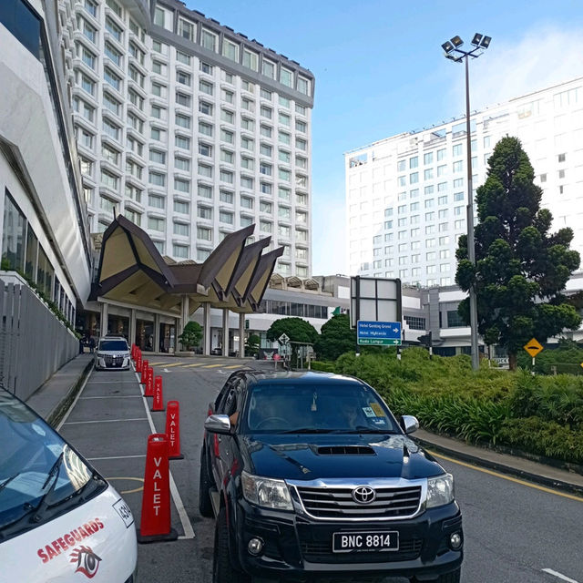 Viewing Natural Forest When Taking Skyway