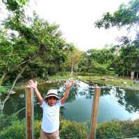 Cebu Safari and Adventure Park🏞️