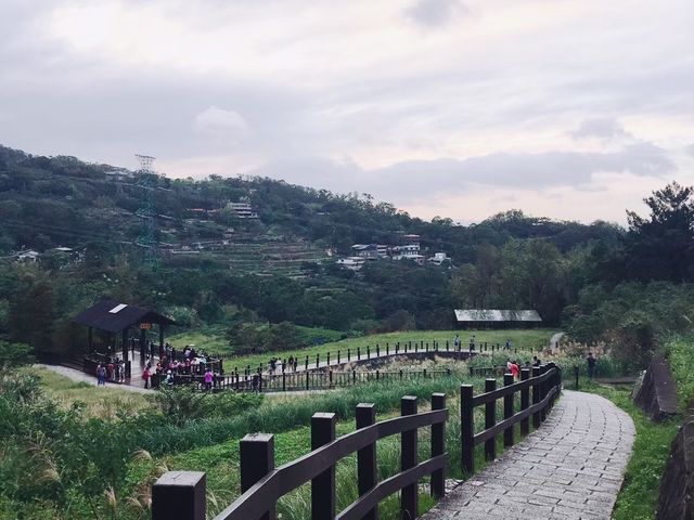 台北必去景點🐱貓空泡茶🍵