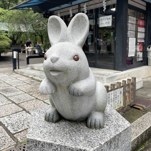 【超多可愛兔兔】京都東天王岡崎神社