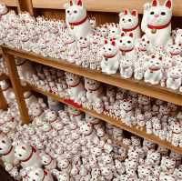 招財貓の寺——豪德寺🐈‍⬛😸
