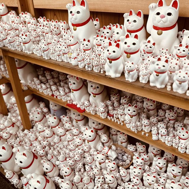 招財貓の寺——豪德寺🐈‍⬛😸