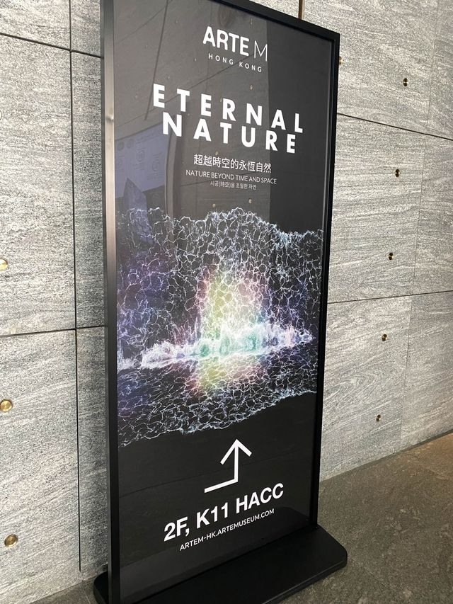 暑假開始🎉欣賞ARTE M 燈光數碼藝術