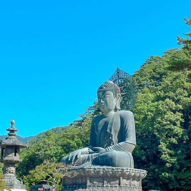 설악산도 가고 먹방도 찍으러 속초여행
