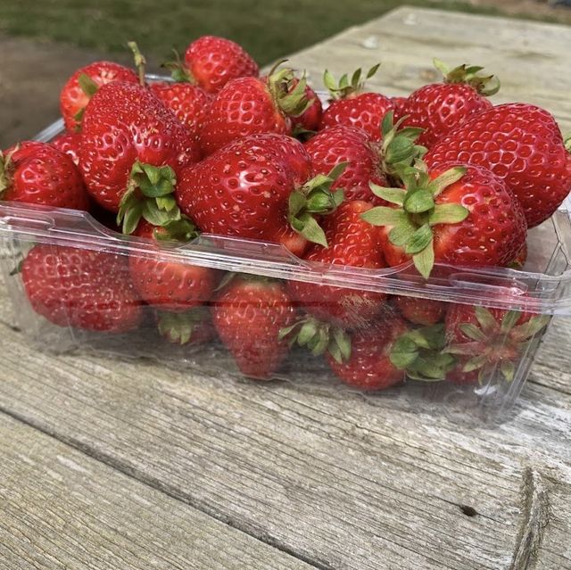 Rocky Creek Strawberry Farm