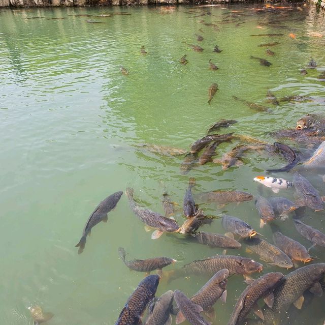 춘향골 남원 광한루