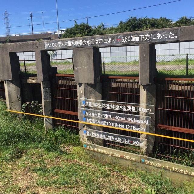 新潟 ｜西海岸遊歷寄居濱與藝術創造村