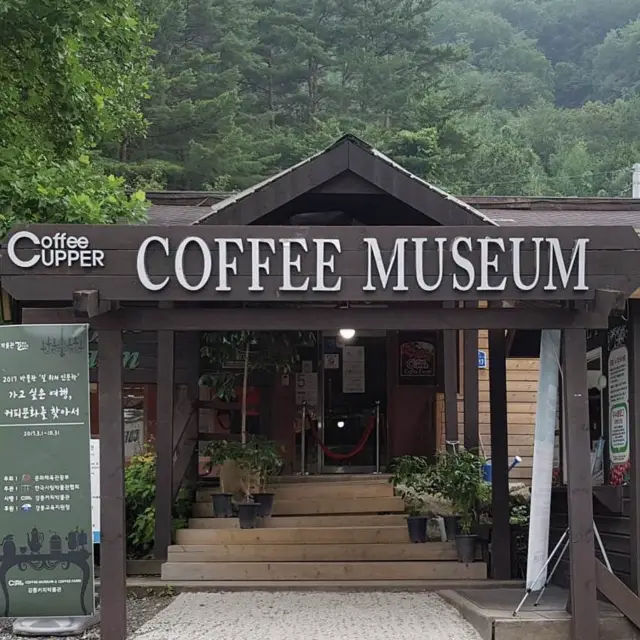 🌳 숲과 계곡 옆, 자연친화적인 강릉 커피박물관 