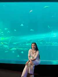 อควาเรียมบางแสน🐠🦀🪼 : ที่เที่ยวบางแสน