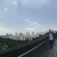 สะพานคลื่น henderson waves สิงคโปร์