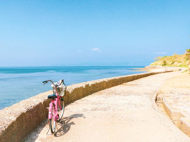 佐久島 - 藝術品之旅，適合遠離煩囂的人士✨