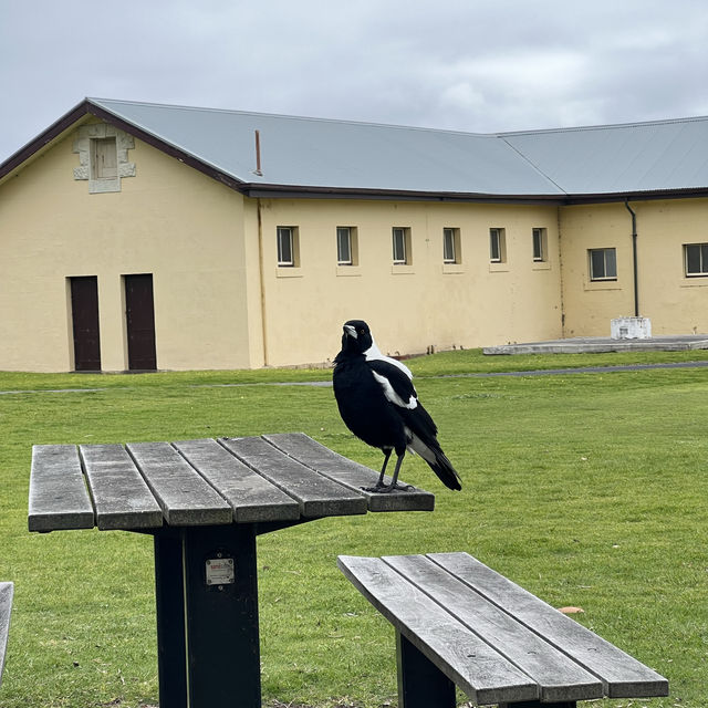 🚊 Point Nepean Quarantines station