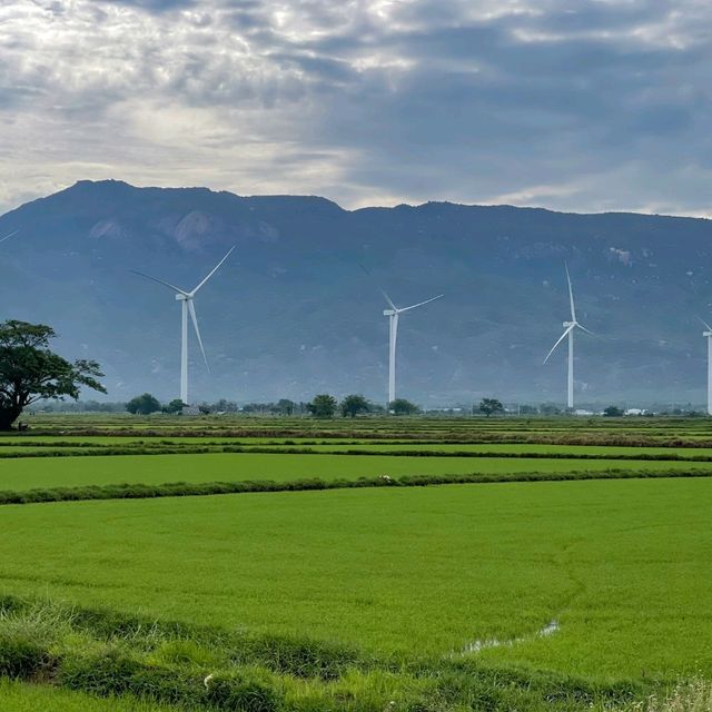 Hòn Đỏ A Hidden Gem of Ninh Thuận