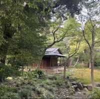 花與和諧的完美結合！舊古河庭園🌹🏰🌿