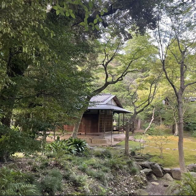 花與和諧的完美結合！舊古河庭園🌹🏰🌿
