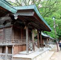ขอพรเทพเจ้าแห่งการศึกษา ที่ศาลเจ้าดาไซฟุ เทนมันกุ