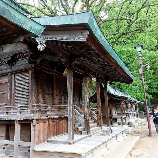 ขอพรเทพเจ้าแห่งการศึกษา ที่ศาลเจ้าดาไซฟุ เทนมันกุ