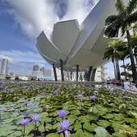 Apple Marina Bay Sands: Island of Innovation