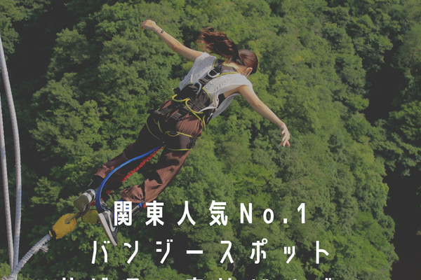 1mi222215h74ochpsF119_R_600_40