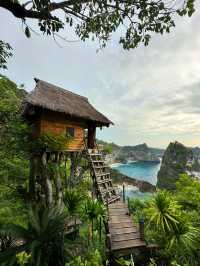 ย้อนเวลาไปบ้านต้นไม้ยอดฮิตบนเกาะ Nusa Penida