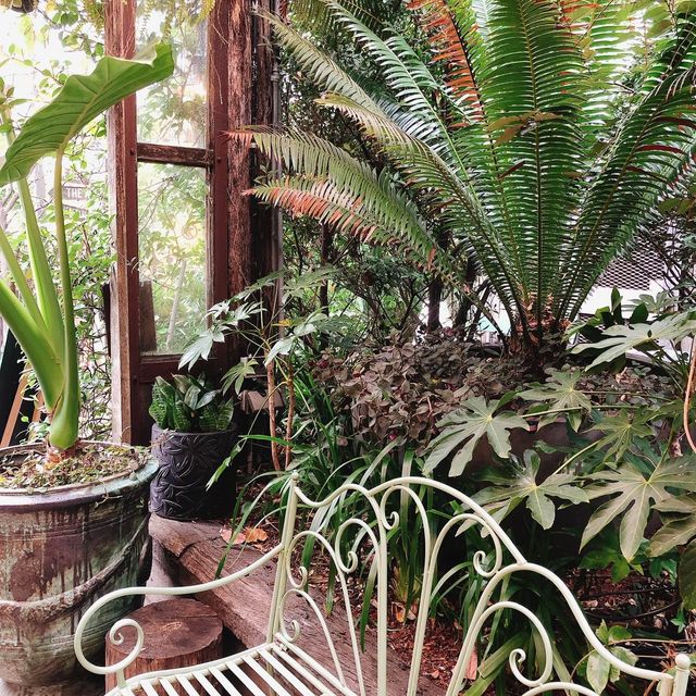 澳洲🇦🇺雪梨Sydney 拍照打卡花園🤳🏻📷 The Grounds of Alexandria