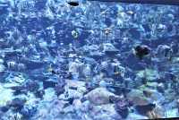 Ocean Park Hong Kong