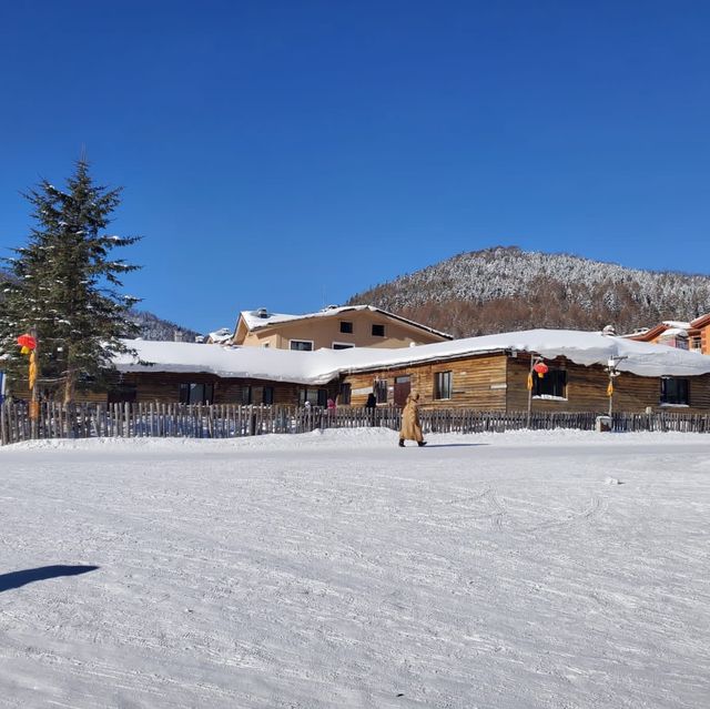 ZhongGuo Xuexiang China’s No. 1 Snowtown ⛄️ 