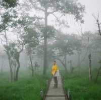 ลานหินงาม