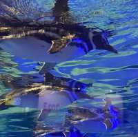 簡而精的墨田水族館