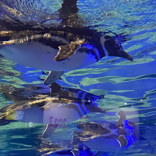簡而精的墨田水族館