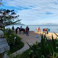 A Beachfront Resort 