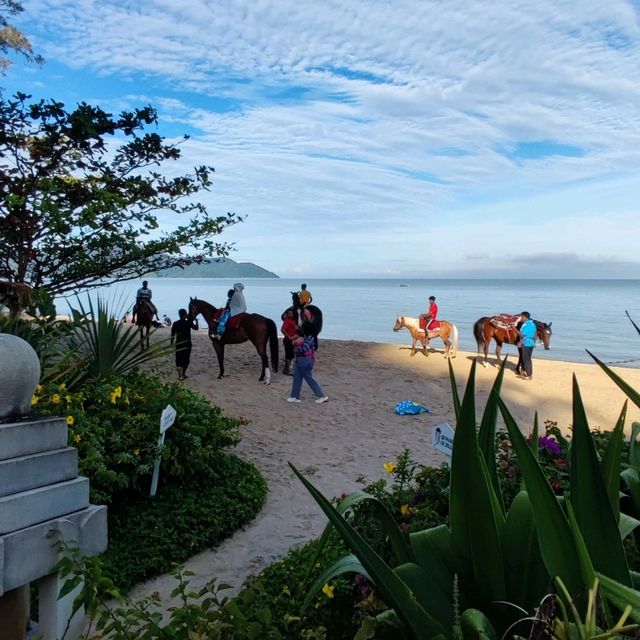 A Beachfront Resort 