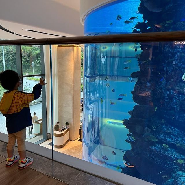 親子staycation 好去處