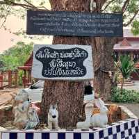 วัดพระธาตุหมื่นครื้น  จังหวัดลำปาง