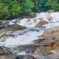 A nature to embrace