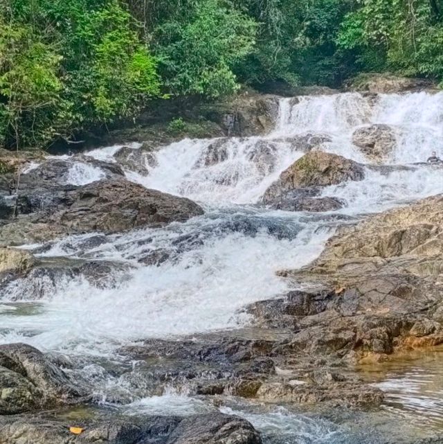A nature to embrace