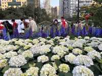 “Bliss in Bloom” Hong Kong Flower Show 