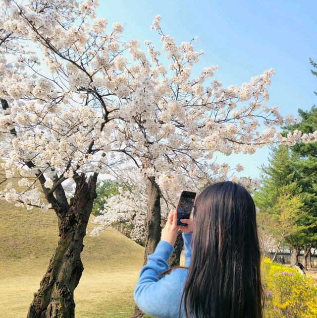 ๐ธ ๊ฒฝ์ฃผ "๋๋ฆ์"์ ์ง๊ธ ๋ฒ๊ฝ ๋ง๊ฐ๐ธ ๐ธ ๊ฒฝ์ฃผ "๋๋ฆ์"์ ์ง๊ธ ๋ฒ๊ฝ ๋ง๊ฐ๐ธ