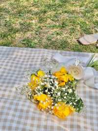 봄꽃놀이는 용산가족공원에서💫💛🌸