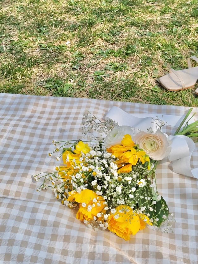 봄꽃놀이는 용산가족공원에서💫💛🌸