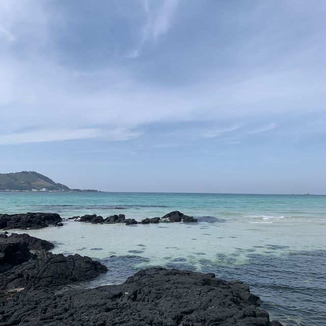 투명한 제주 협재해수욕장🌊✨