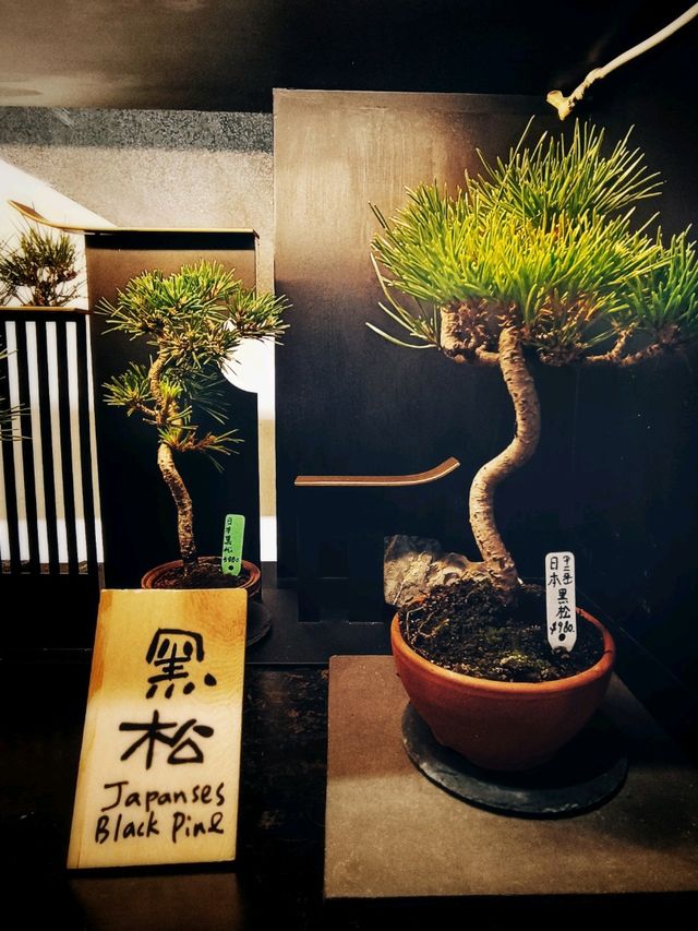 回歸初心 • 園藝素食 OVO Cafe