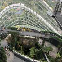 สวนขนาดยักษ์ที่สิงคโปร์ Gardens by the bay
