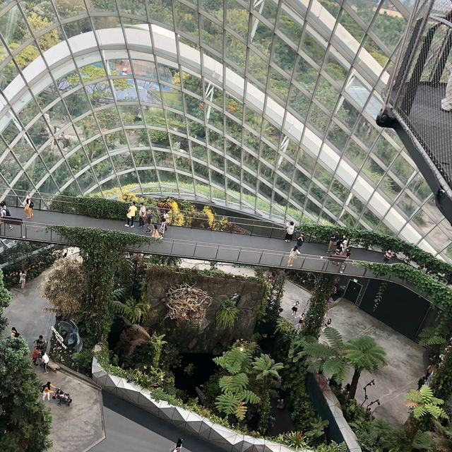 สวนขนาดยักษ์ที่สิงคโปร์ Gardens by the bay