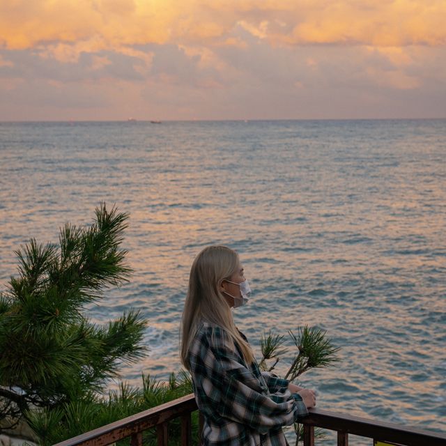 바다위의 특별한 절 해동용궁사🌊