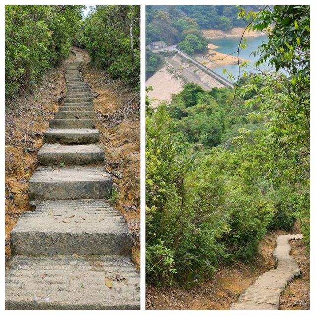 天陰陰👣漫長樓梯之旅: 針山⛰️