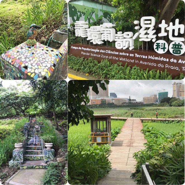 龍環葡韻🏖發現天空之鏡🤳